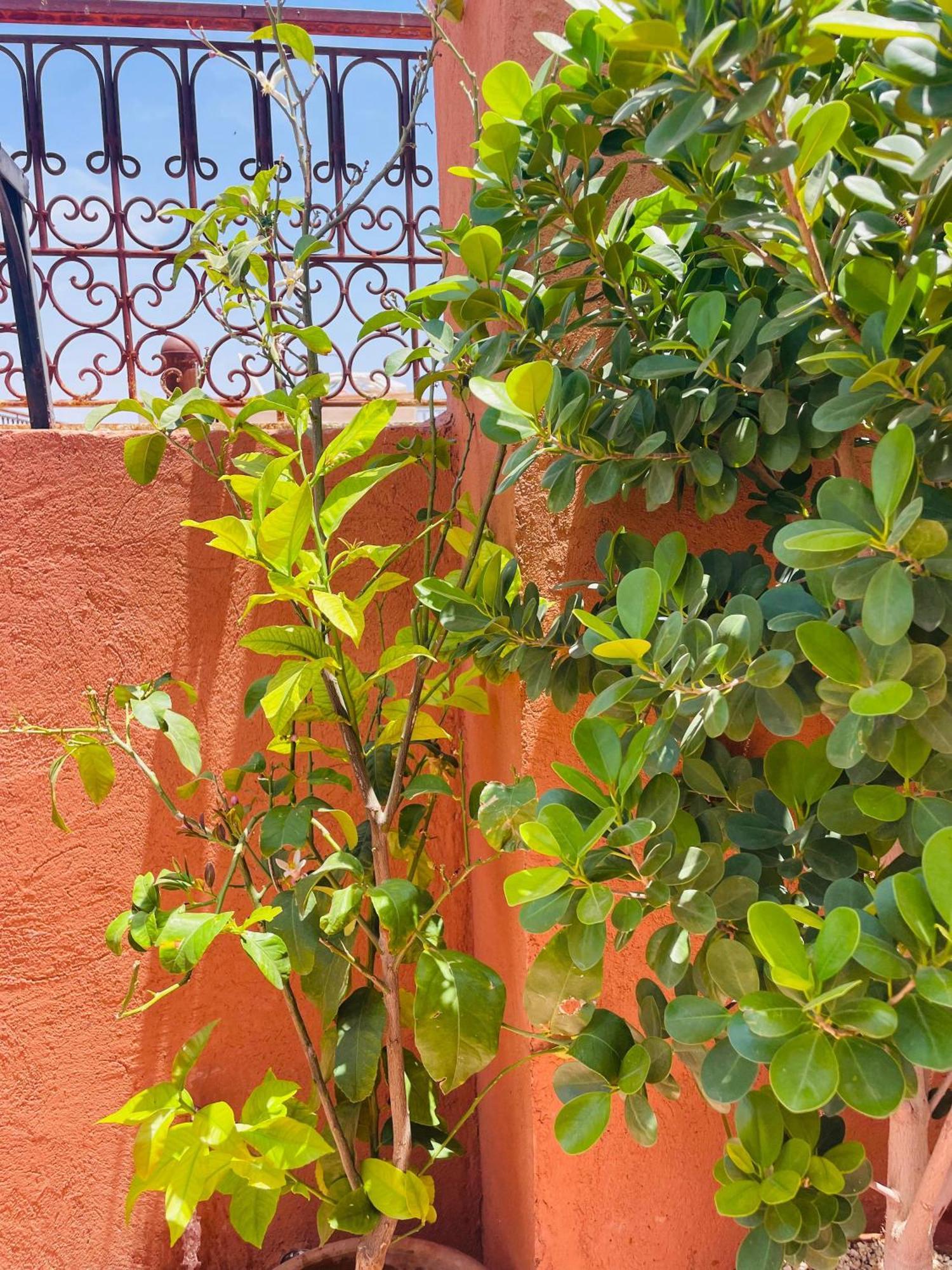 Riad Ms Holidays Terrasse Privatise Marrakech Марракеш Екстер'єр фото