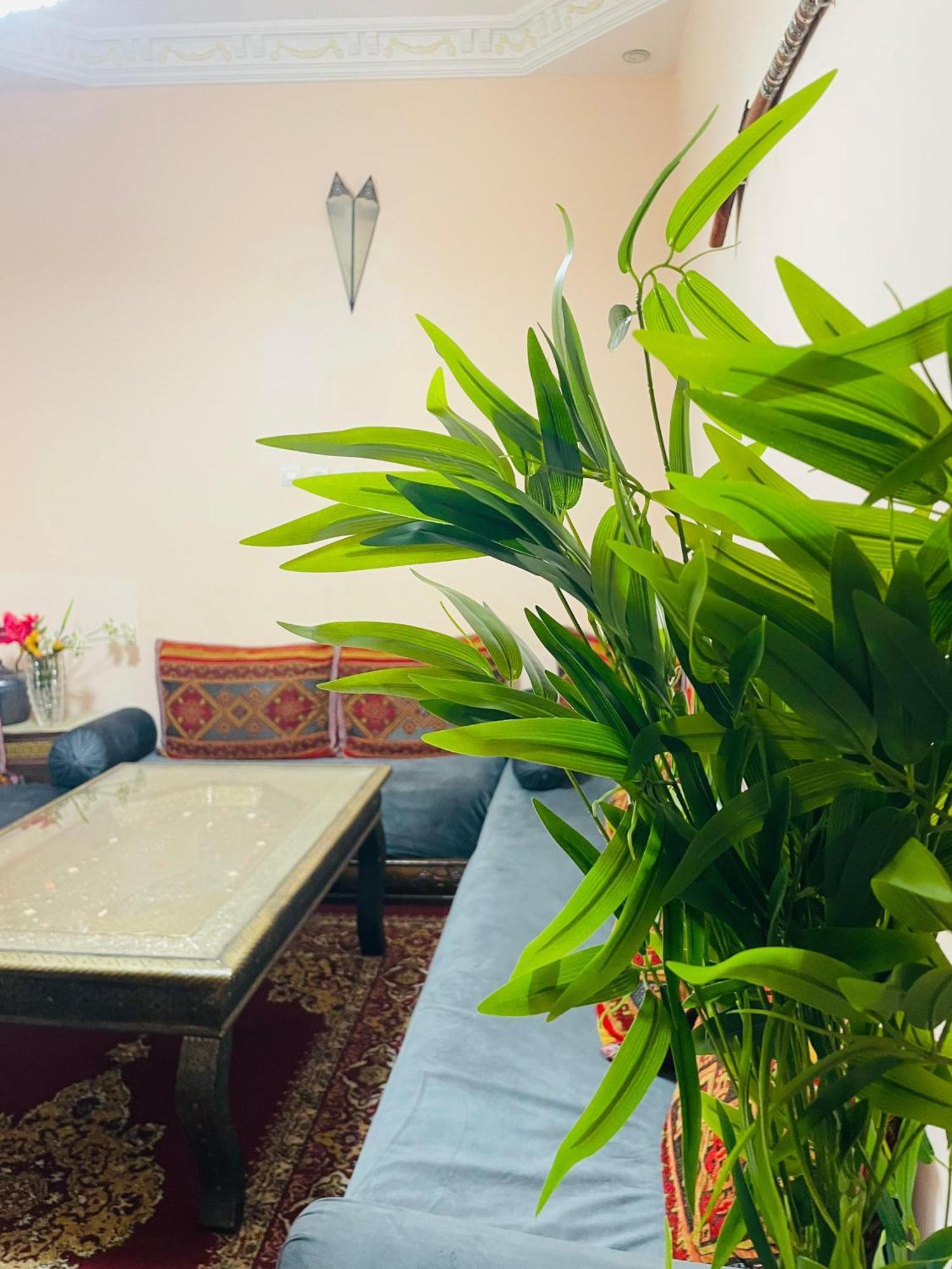 Riad Ms Holidays Terrasse Privatise Marrakech Марракеш Екстер'єр фото